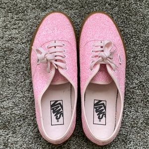 Vans Skater Shoes Limited Edition